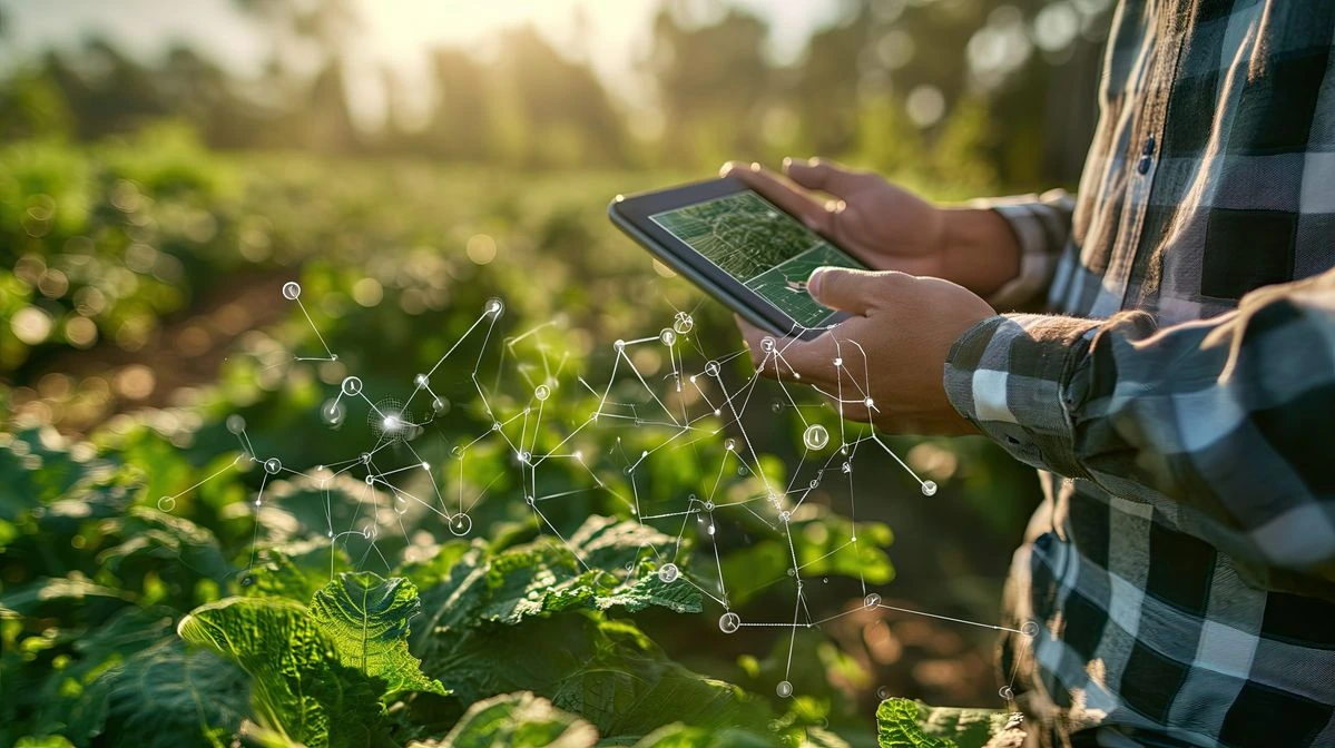 Asesoramiento Agronómico